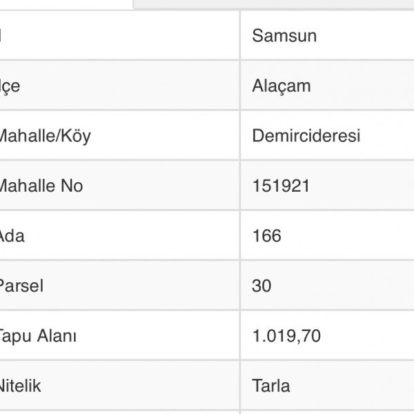 SAMSUN-ALAÇAM